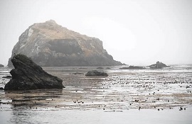 Photos by Adam Stewart