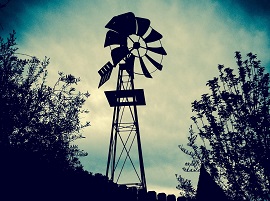Photos by Adam Stewart